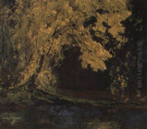 Sweeping Wattle by Theodore Penleigh Boyd