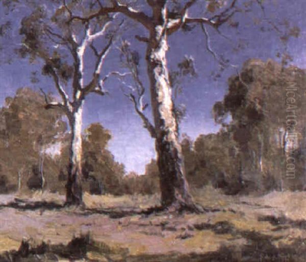 Summer Light - view 1