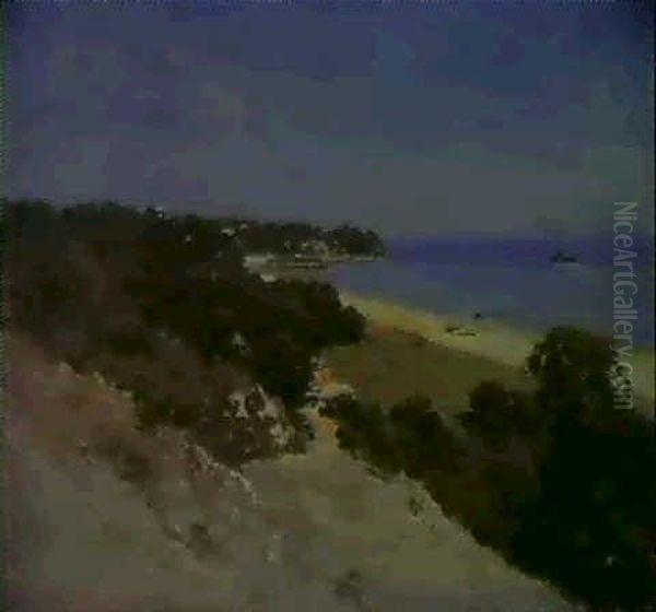 Portsea (shelley Beach) - view 1