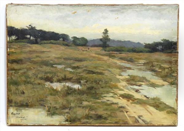 Landscape, Shepherd And Flock Of Sheep In Distance - view 1