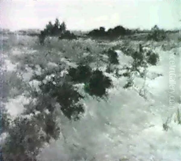 June Day - view 1