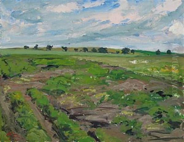 Danish Summer Landscape - view 1