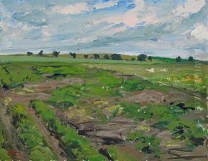 Danish Summer Landscape