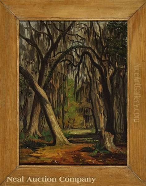City Park, New Orleans - view 1