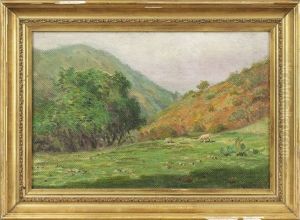 Catalina Island Landscape Catalina Island Landscape