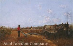 Sugar Cane Field by Charles Wellington Boyle