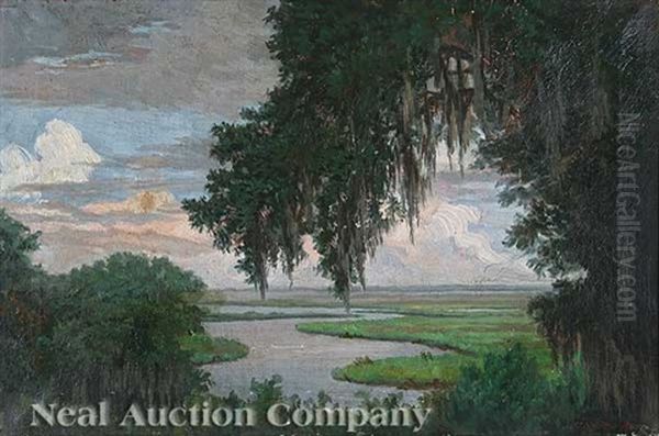Oak Tree Draped With Spanish Moss, Louisiana Bayou Landscape - view 1