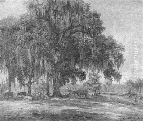 On The Bayou Lacombe, La. - view 1