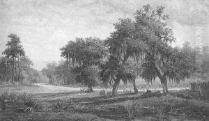 Louisiana Landscape With Cattle Grazing In The Shade Of Oaks At Roadside Louisiana Landscape With Cattle Grazing In The Shade Of Oaks At Roadside