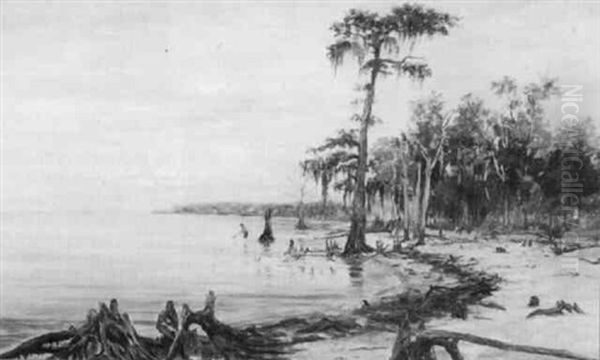 Bayou Near Lewisburg, Louisiana - view 1