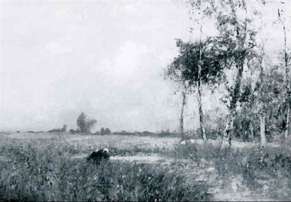 Marshy Landscape With Cows, Fields And Live Oaks In The Distance - view 1
