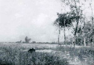 Marshy Landscape With Cows, Fields And Live Oaks In The Distance Marshy Landscape With Cows, Fields And Live Oaks In The Distance