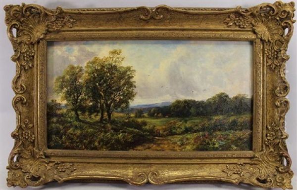 Landscape - view 1