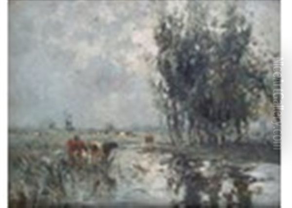 Cattle Watering In A Meadow - view 1