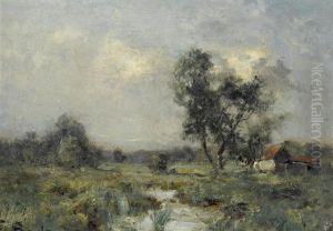 Bachlandschaft Unter Wolkenbedecktem Himmel