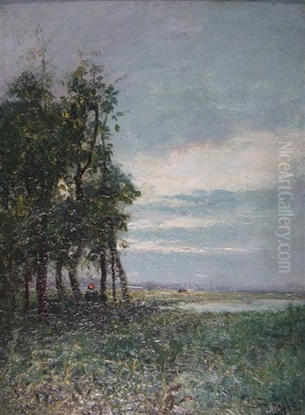 Weidelandschaft Mit Teich - view 1