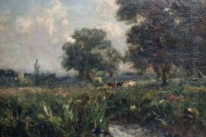 Cattle In A Summer Landscape