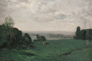 Morgendliche Weidelandschaft Mit Weitem Blick In Das Land