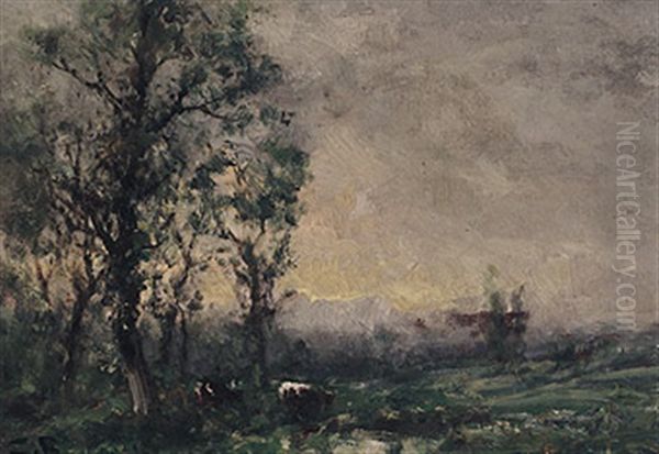 Dunstige Weidelandschaft Am Fruhen Morgen - view 1