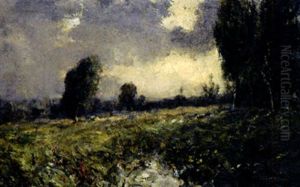Spatsommerliche Heidelandschaft