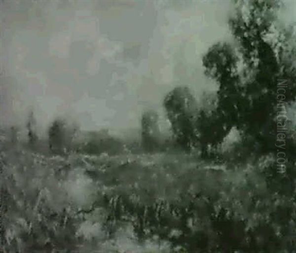 Sommerwiesen Mit Bachlauf Und Bauernhaus - view 1