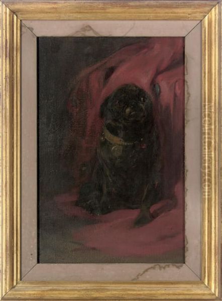 Black Pug - view 1