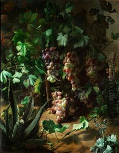 Weinstock Mit Agarve Und Distel Im Vordergrund