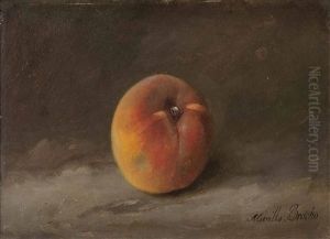 Melocoton by Jose Maria Bracho Murillo