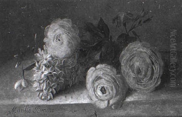 Flores - view 1