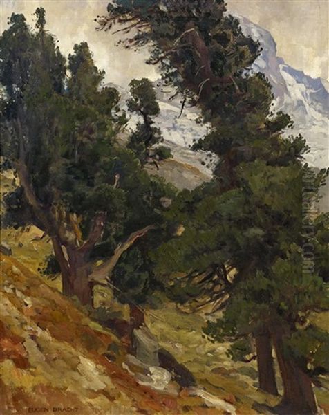 Arven-landschaft In Der Schweiz - view 1