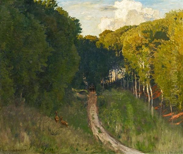 Der Waldweg - view 1