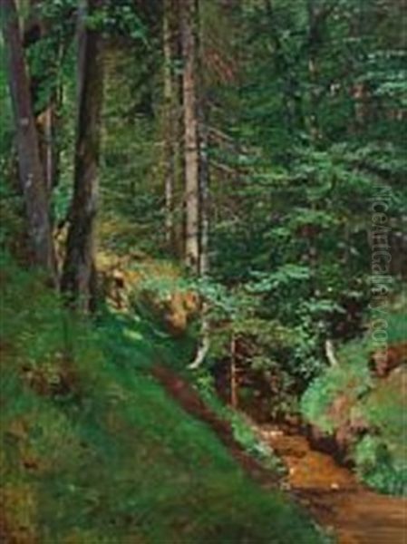 Woodscape - view 1