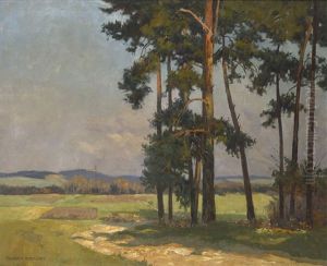 Taunuslandschaft Mit Kiefernwaldchen