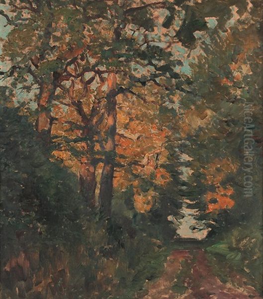 "abendsonne Im Wald" - view 1