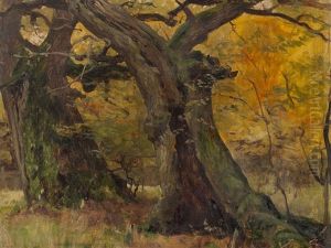 Oak Trees In A Park