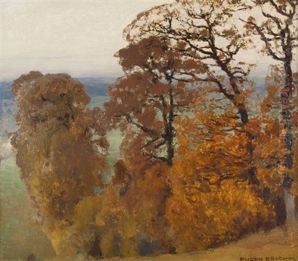 Herbstlicher Wald - view 1