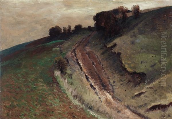 Landscape With Path - view 1