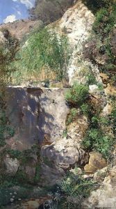 Sunny Canyon In Palestine