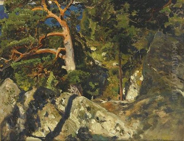 Kiefer In Den Felsen - view 1