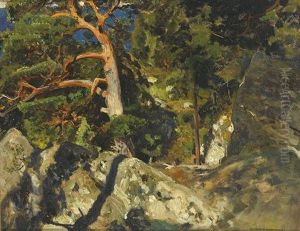 Kiefer In Den Felsen by Eugen Felix Prosper Bracht