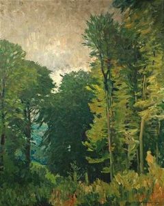 Sommerliches Waldinneres