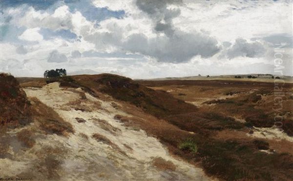 In Der Luneburger Heide - view 1