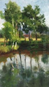 Bachlauf Mit Birken Am Ufer Bachlauf Mit Birken Am Ufer