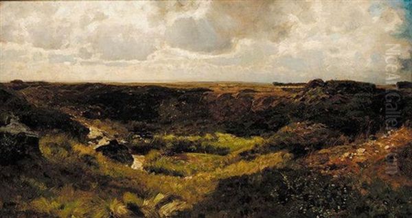 Heide Auf Dem Hohen Venn Bei Malmedy (near Malmedy) - view 1