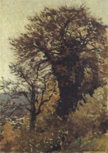 Epheubewachsener Baum Epheubewachsener Baum