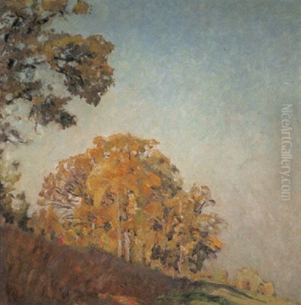 Eichengruppe - view 1