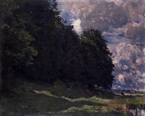 Waldrand Vor Wolkenhimmel - view 1