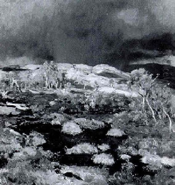 Regenschauer In Norwegischem Hochmoor - view 1