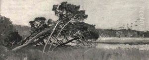 Moorlandschaft Mit Umgesturztem Baum Moorlandschaft Mit Umgesturztem Baum