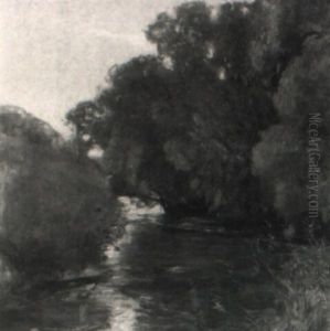 Wasserlauf Mit Weiden Wasserlauf Mit Weiden